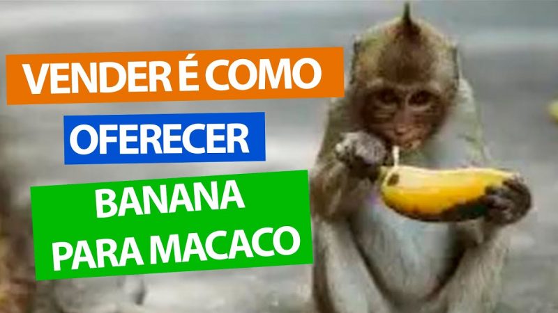 Vender é Como Oferecer Banana para Macaco