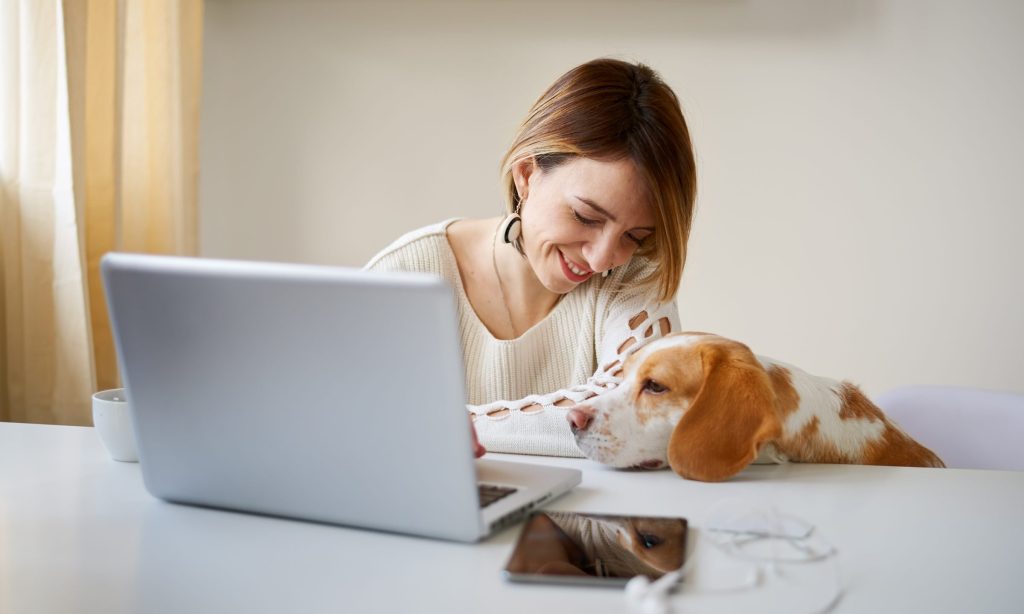 Como Ganhar dinheiro na internet de forma honesta